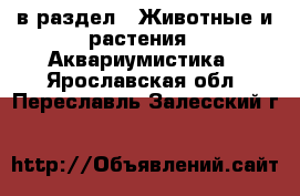  в раздел : Животные и растения » Аквариумистика . Ярославская обл.,Переславль-Залесский г.